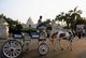 India: A tanga (tonga) or horse-drawn carriage in front of the Victoria Memorial Hall, Kolkata (Calcutta), West Bengal
